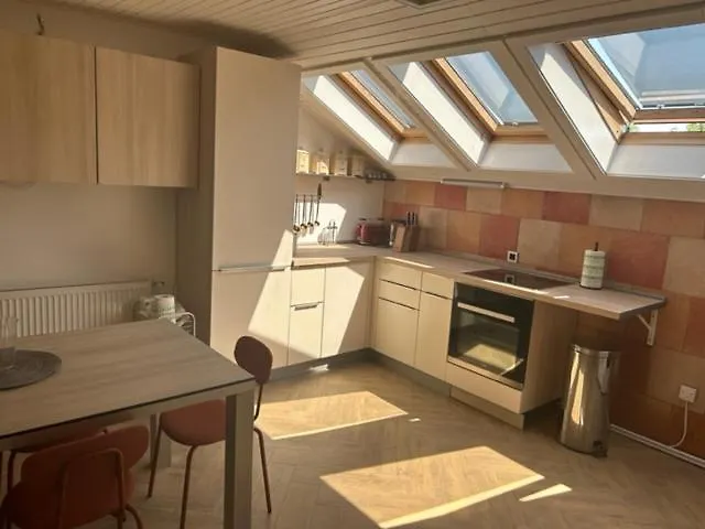 A&e 아파트 류블랴나